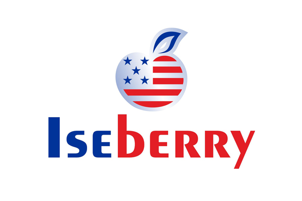 Логотип Iceberry