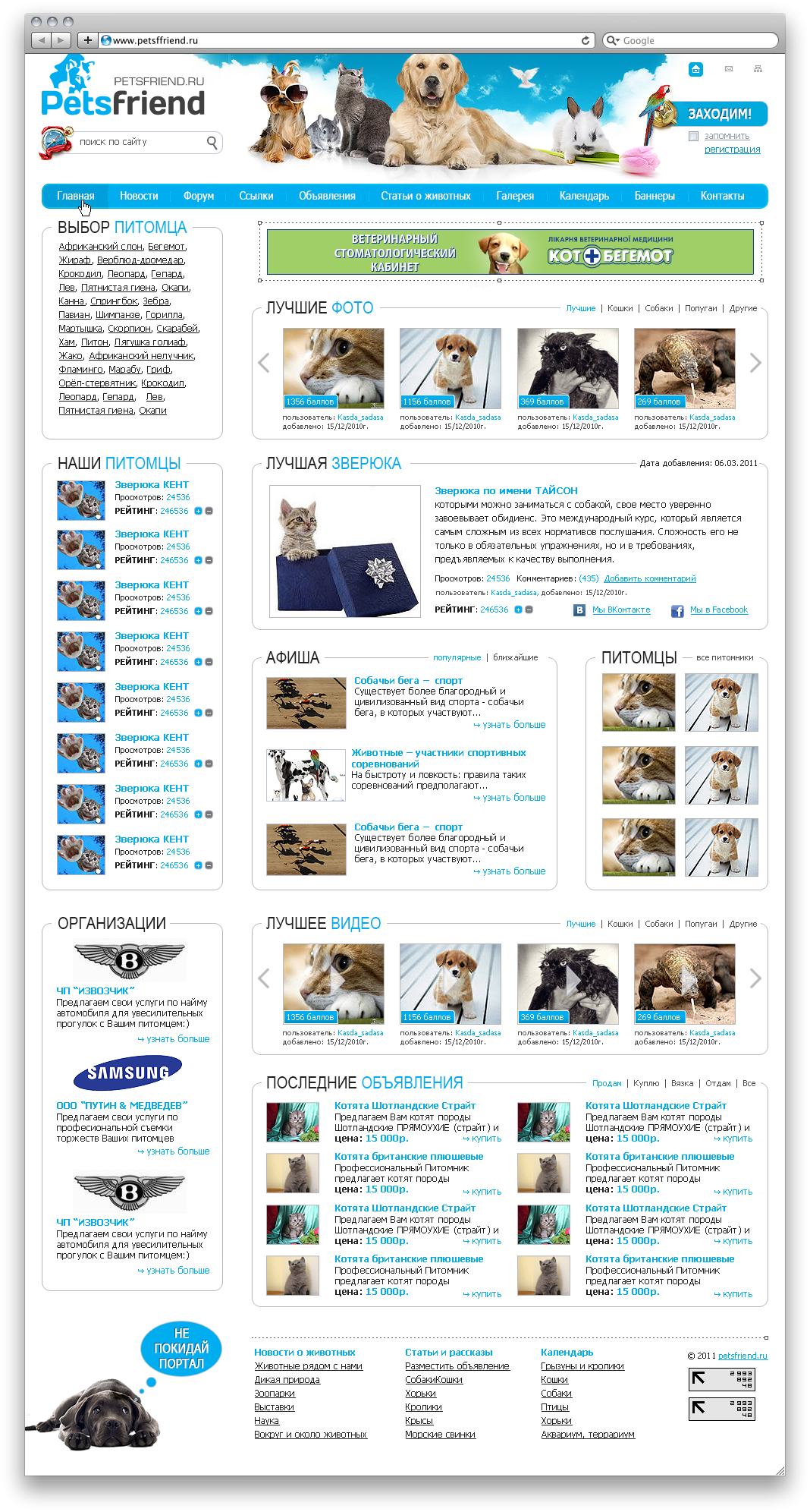 Дизайн сайта о животных
