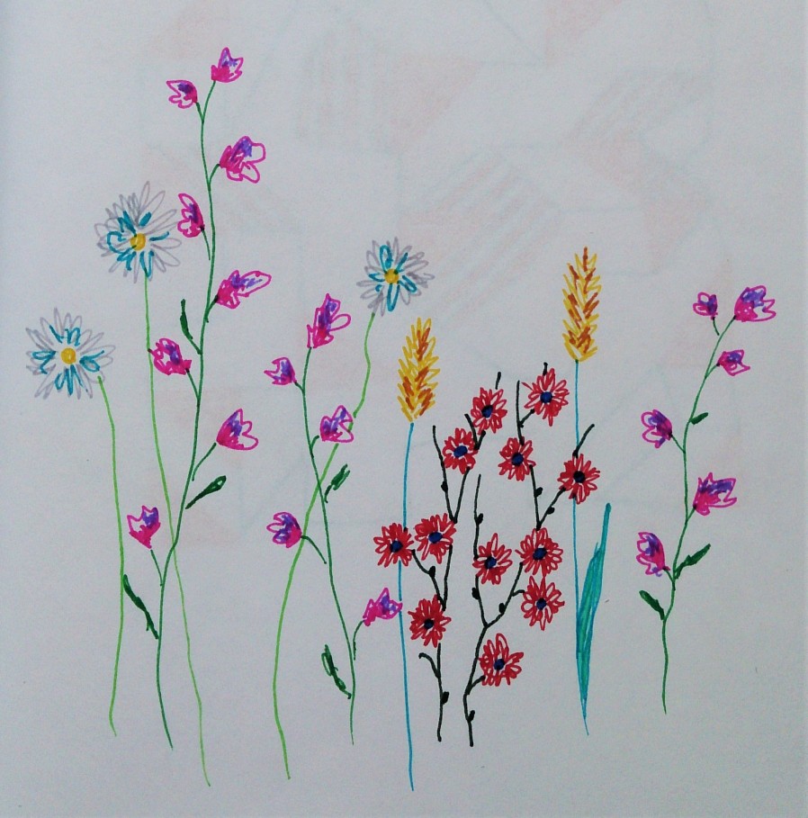 Полевые цветы для рисования