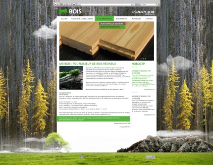 Дизайн сайта деревообработки