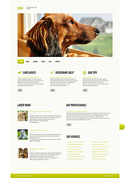 WordPress шаблон про животных