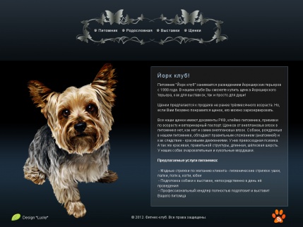 PSD макет сайта про собак