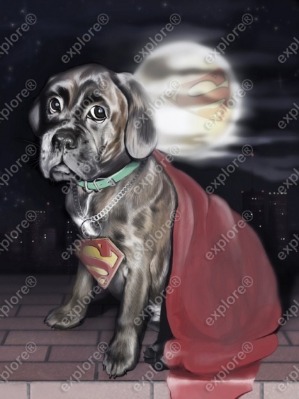 Рисунок щенка породы боксер в стиле супергероя